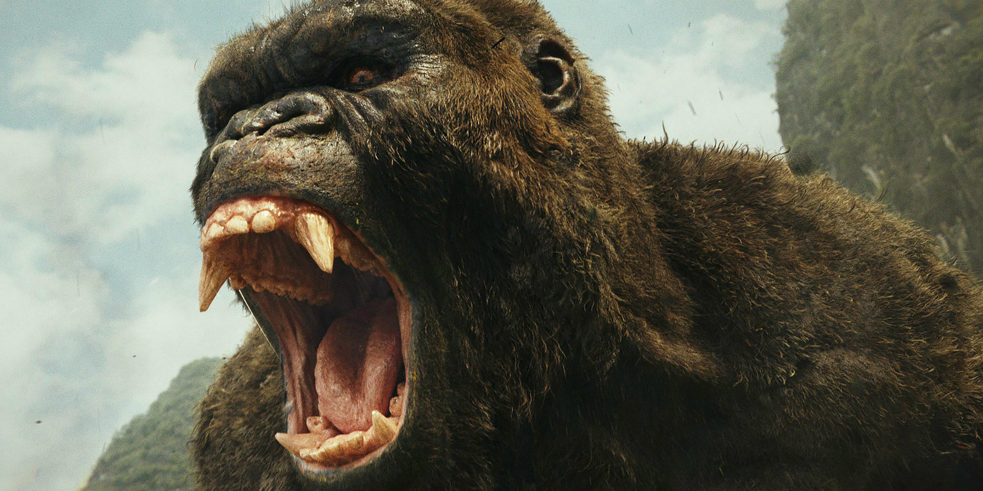 Kong roaring