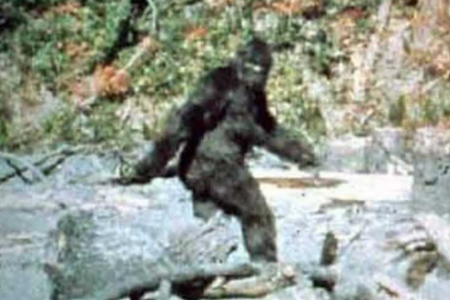 bigfoot