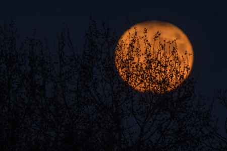 samhain